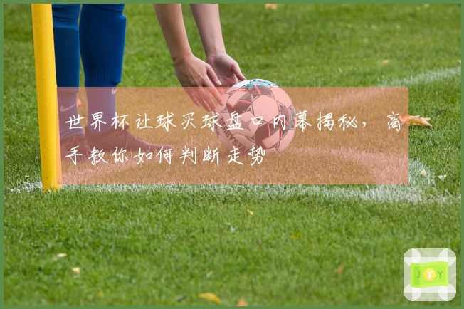 世界杯让球买球盘口内幕揭秘，高手教你如何判断走势
