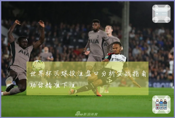 世界杯买球投注盘口分析实战指南助你精准下注
