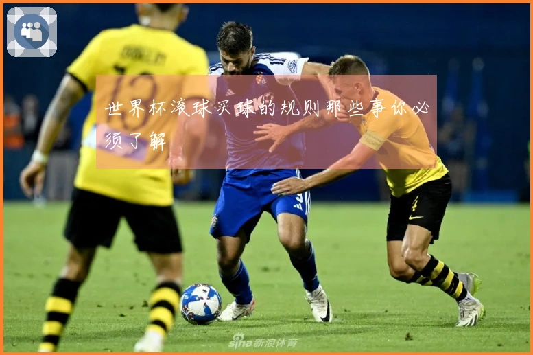 世界杯滚球买球的规则那些事你必须了解