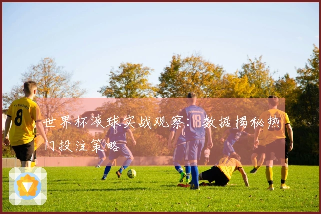 世界杯滚球实战观察：数据揭秘热门投注策略