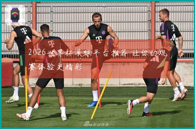 2026世界杯滚球平台推荐 让你的观赛体验更精彩
