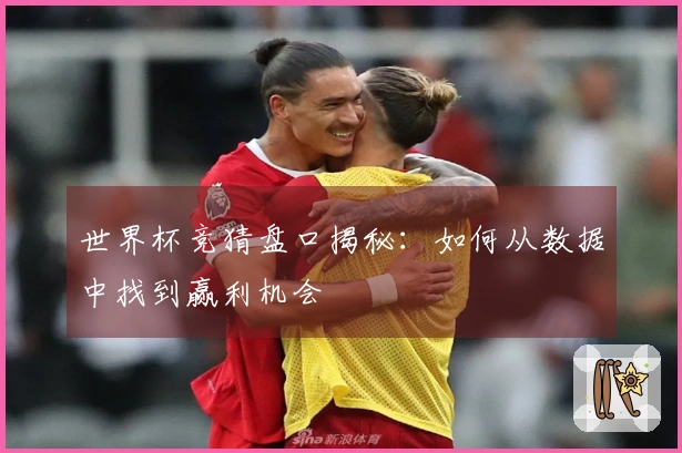 世界杯竞猜盘口揭秘：如何从数据中找到赢利机会