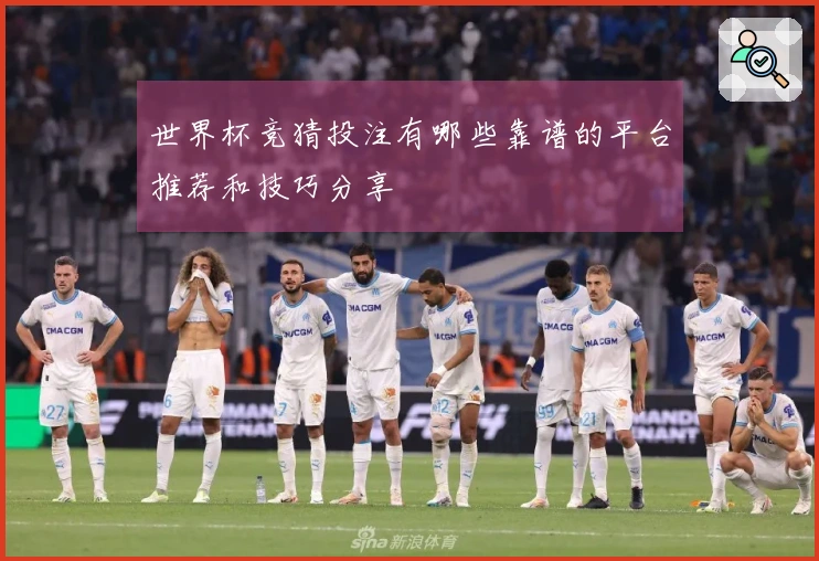 世界杯竞猜投注有哪些靠谱的平台推荐和技巧分享