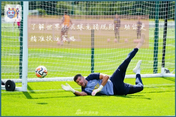 了解世界杯买球竞猜规则，助你更精准投注策略