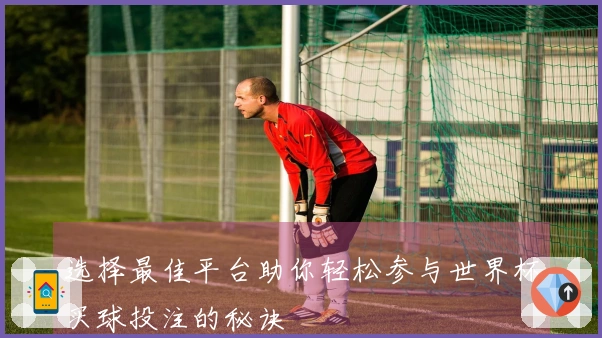 选择最佳平台助你轻松参与世界杯买球投注的秘诀