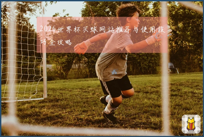 2026世界杯买球网站推荐与使用技巧全攻略