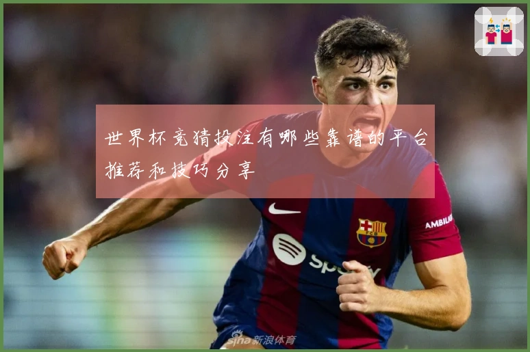 世界杯竞猜投注有哪些靠谱的平台推荐和技巧分享