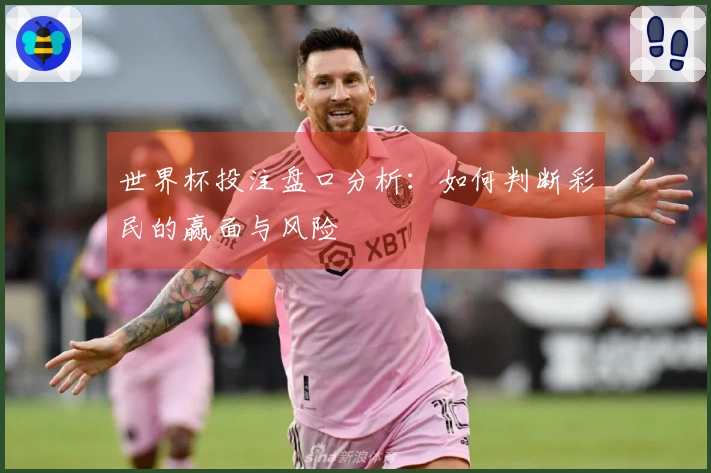 世界杯投注盘口分析：如何判断彩民的赢面与风险