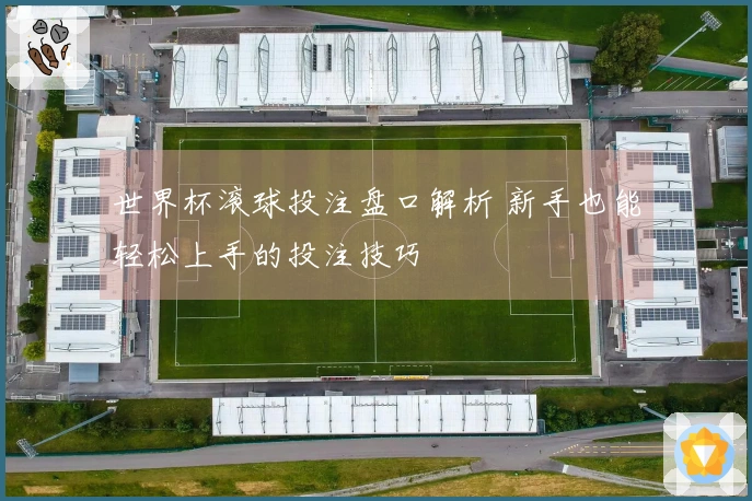 世界杯滚球投注盘口解析 新手也能轻松上手的投注技巧