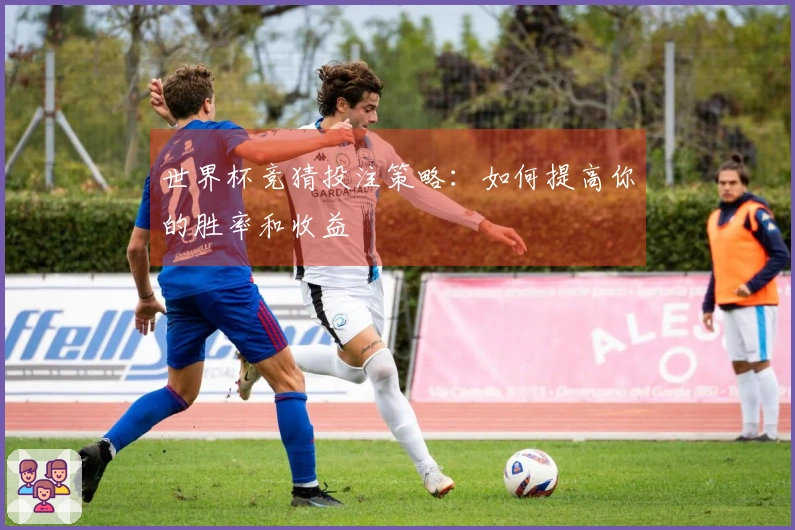 世界杯竞猜投注策略：如何提高你的胜率和收益