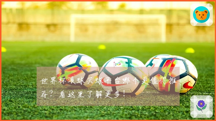 世界杯滚球买球平台哪个更值得推荐？看这里了解更多！