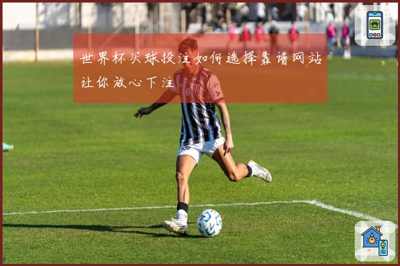 世界杯买球投注如何选择靠谱网站让你放心下注