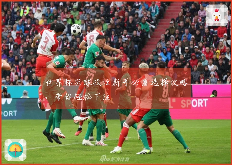 世界杯买球投注新手必看选择攻略，带你轻松下注