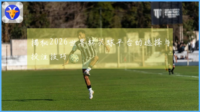 揭秘2026世界杯买球平台的选择与投注技巧