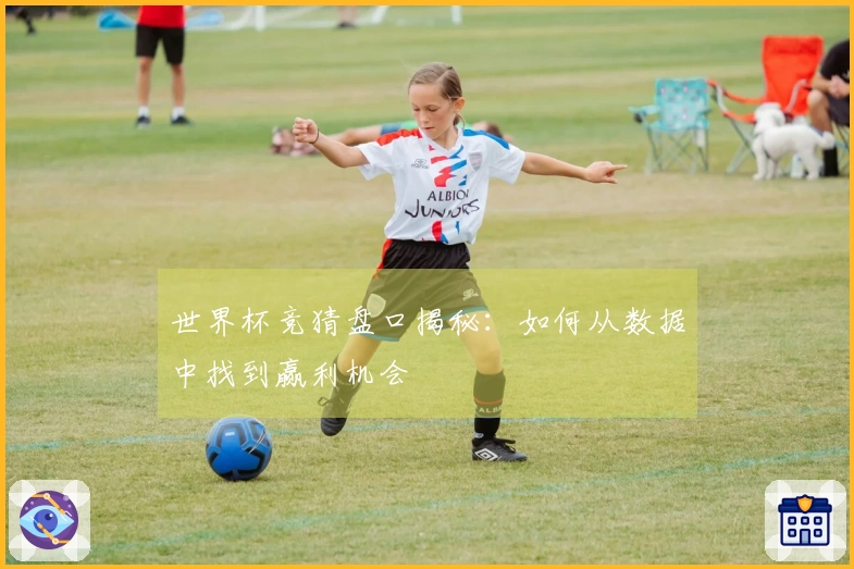 世界杯竞猜盘口揭秘：如何从数据中找到赢利机会