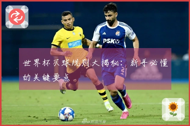 世界杯买球规则大揭秘：新手必懂的关键要点