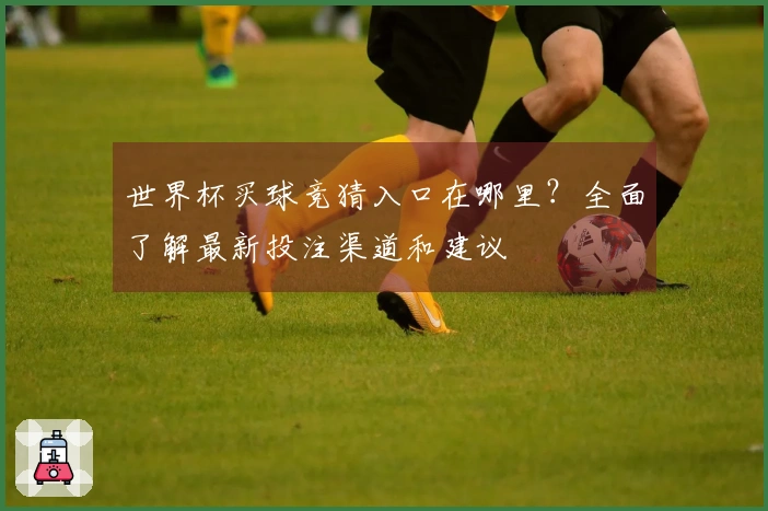 世界杯买球竞猜入口在哪里？全面了解最新投注渠道和建议