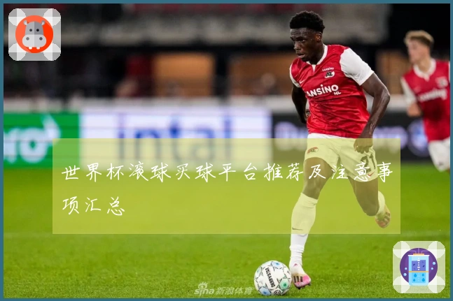 世界杯滚球买球平台推荐及注意事项汇总
