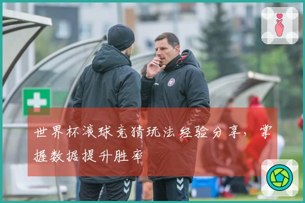 世界杯滚球竞猜玩法经验分享，掌握数据提升胜率