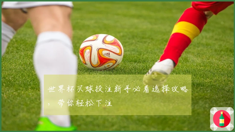 世界杯买球投注新手必看选择攻略，带你轻松下注